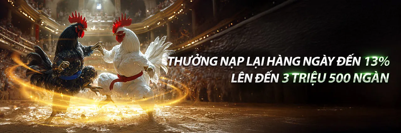 Các chiến lược và mẹo cá cược hiệu quả